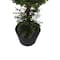 3ft. Artificial Double Ball Green Boxwood Topiary